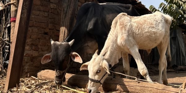 50a6f2be2c100aa4728f48880028be39d3a4aa4e